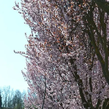 Farm stay La Di Valbella *