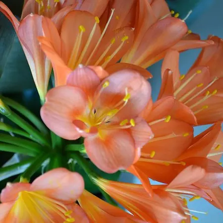 Agroturismo La Di Valbella Asti