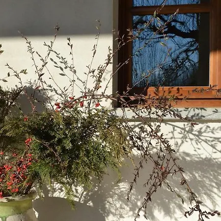 Agroturismo La Di Valbella Asti